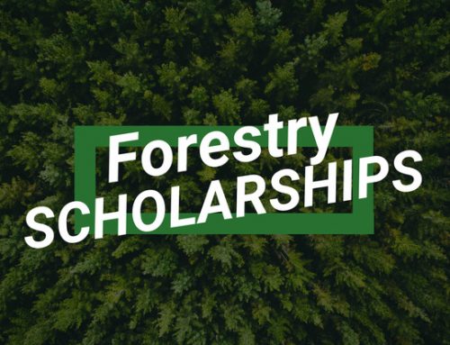 Forestry Scholarship last chance to apply !